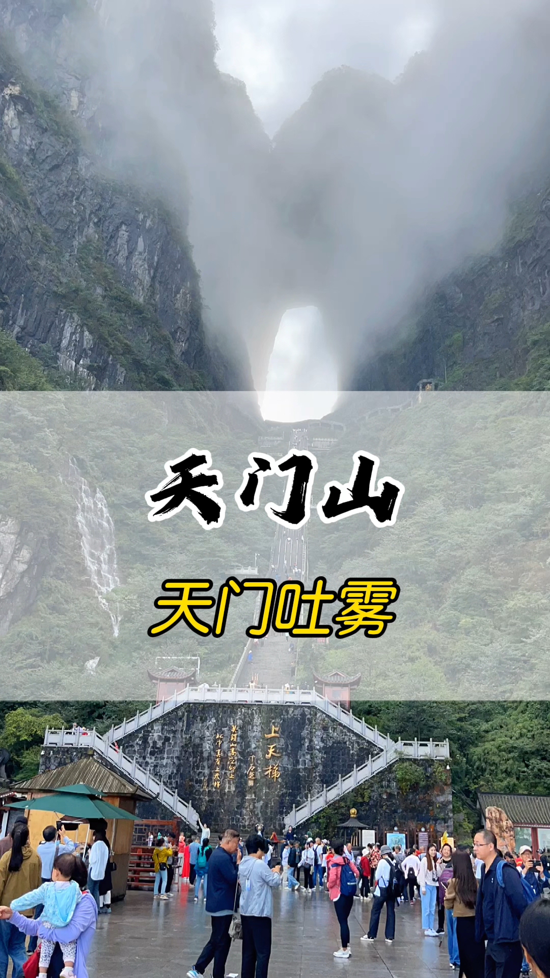 最新资讯 第23页